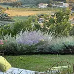 Vila Casa Olivi *