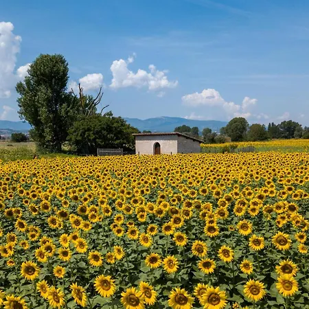 Casa Olivi Villa