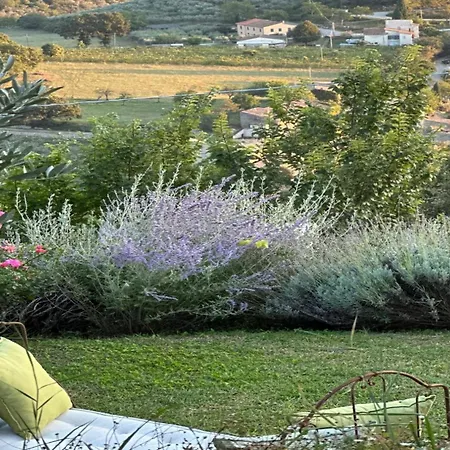 Vila Casa Olivi *