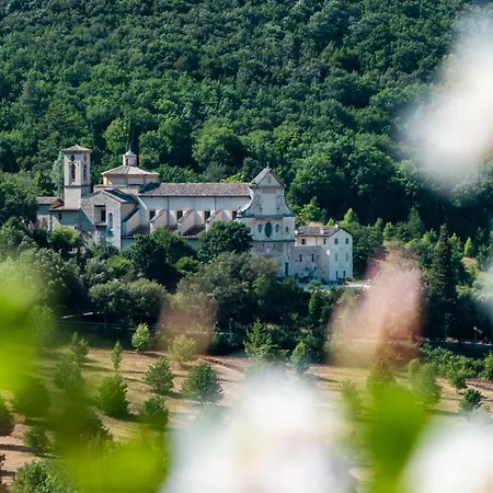 Casa Olivi *