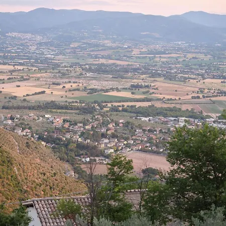 Casa Olivi