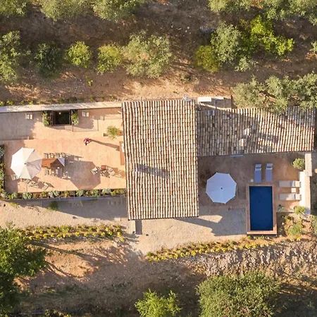 Casa Olivi Vila